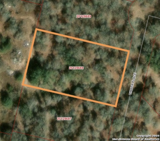 Details for 213 Timber Place, La Vernia, TX 78121