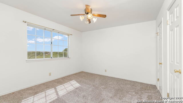 Image 8 of 23 For 8632 Wood Forest