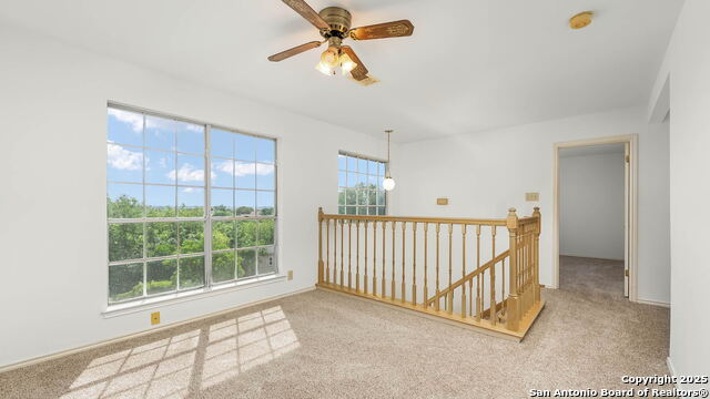 Image 9 of 23 For 8632 Wood Forest