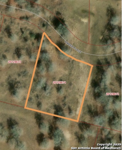 Details for 157 Timber Place, La Vernia, TX 78121