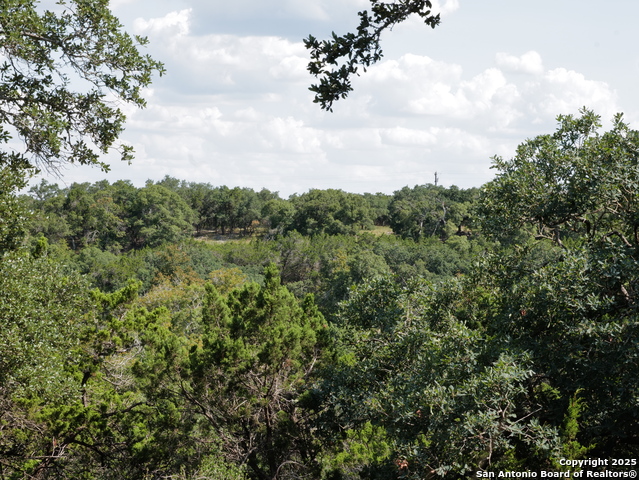 Image 27 of 34 For 107 Spotted Deer Trail