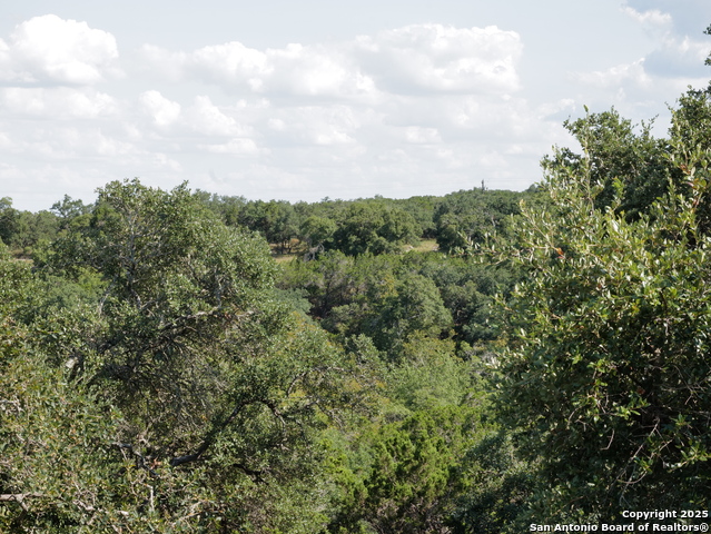 Image 29 of 34 For 107 Spotted Deer Trail