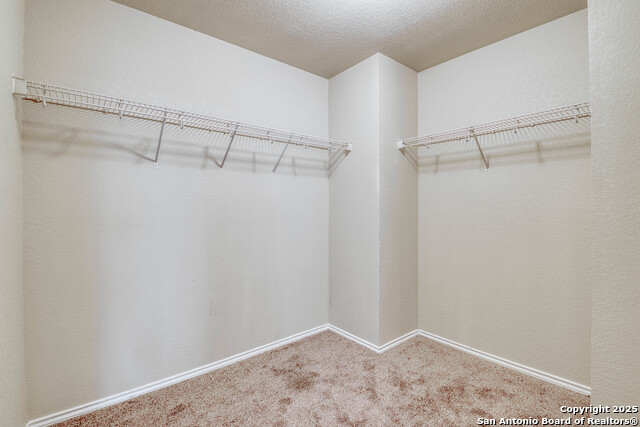 Image 21 of 32 For 8814 Canvas Back