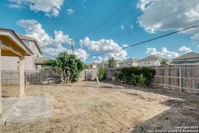 Image 32 of 32 For 8814 Canvas Back