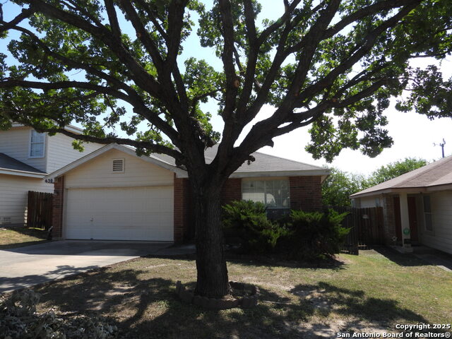 Image 2 of 33 For 630 Leopard