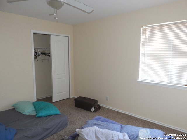 Image 22 of 33 For 630 Leopard