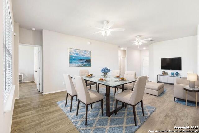 Image 14 of 27 For 19916 Doc Holiday