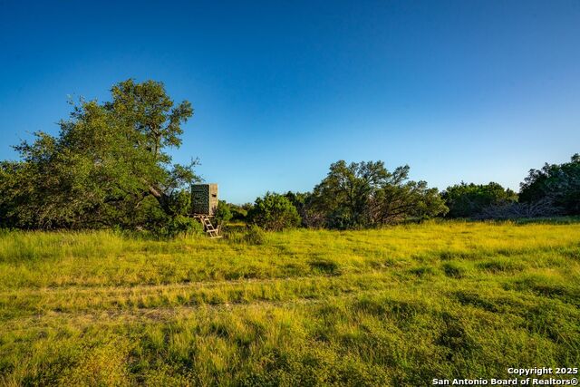 Listing photo id 36 for 116 U.s. Highway 83