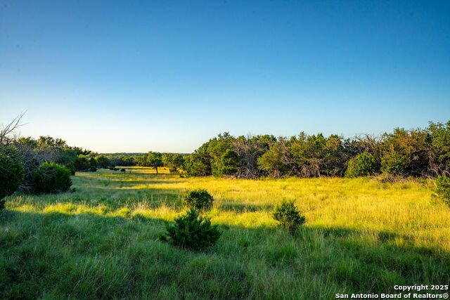 Listing photo id 2 for 116 U.s. Highway 83