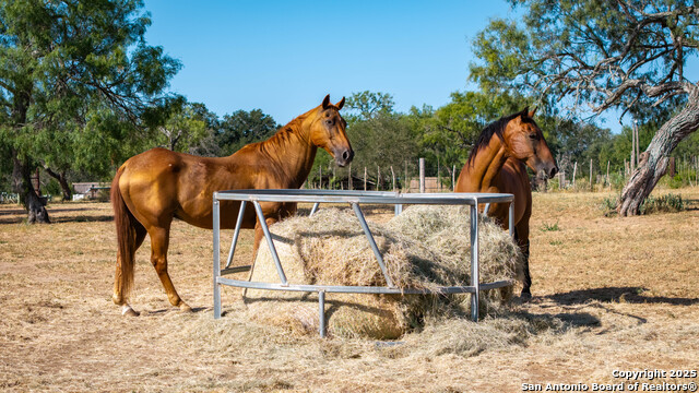 Image 14 of 50 For 1143 State Highway 173