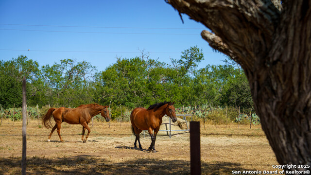 Image 35 of 50 For 1143 State Highway 173