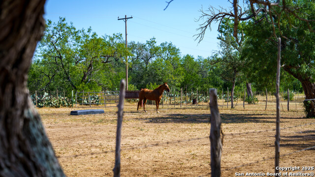 Image 36 of 50 For 1143 State Highway 173