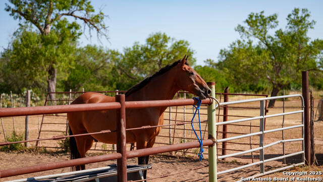 Image 43 of 50 For 1143 State Highway 173