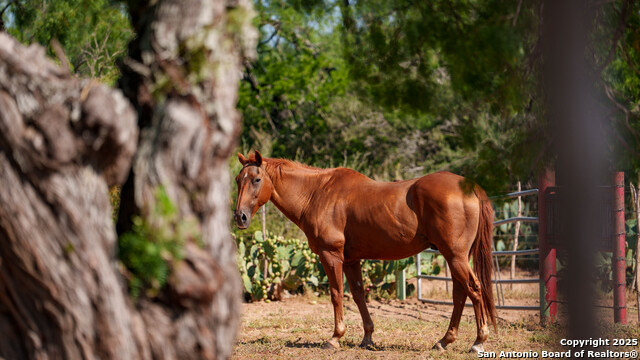 Image 44 of 50 For 1143 State Highway 173