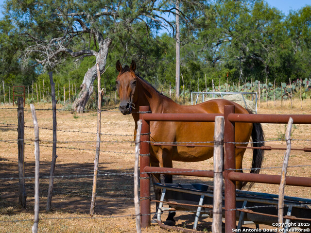 Image 49 of 50 For 1143 State Highway 173