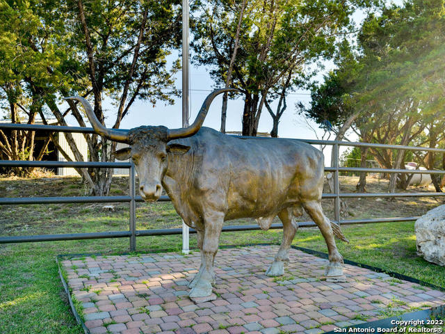 Listing photo id 36 for 24005 Pedernales Canyon Trail