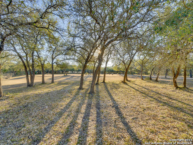 Listing photo id 42 for 24005 Pedernales Canyon Trail