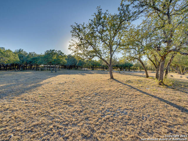 Listing photo id 44 for 24005 Pedernales Canyon Trail