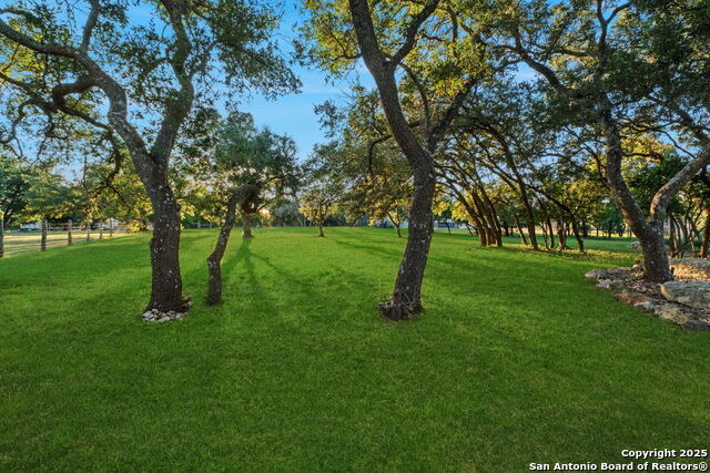 Listing photo id 63 for 324 Menger Springs