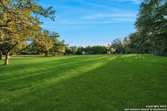 Listing photo id 65 for 324 Menger Springs