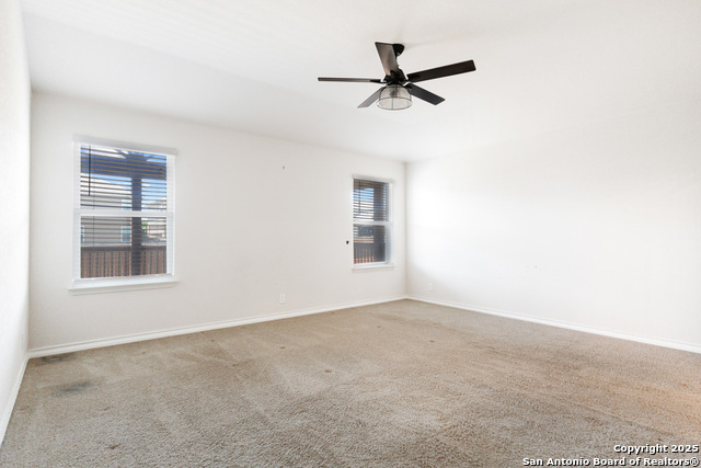 Image 16 of 53 For 13110 Needle Grass