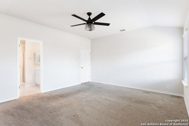 Image 17 of 53 For 13110 Needle Grass