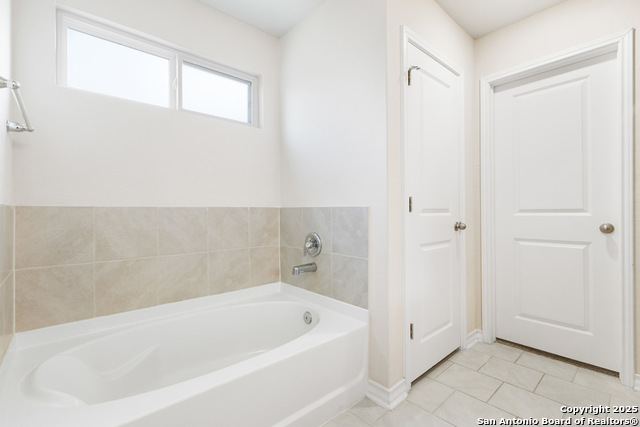 Image 19 of 53 For 13110 Needle Grass