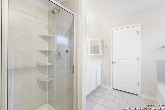 Image 20 of 53 For 13110 Needle Grass