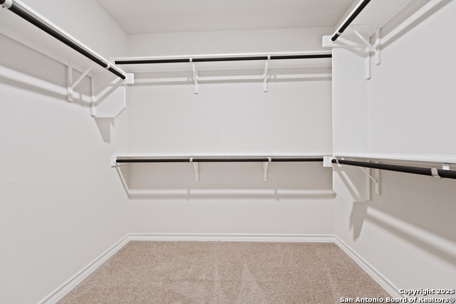 Image 21 of 53 For 13110 Needle Grass