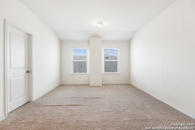 Image 22 of 53 For 13110 Needle Grass