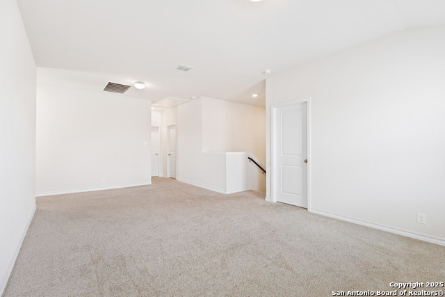 Image 23 of 53 For 13110 Needle Grass