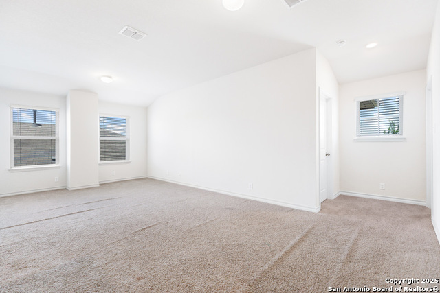 Image 24 of 53 For 13110 Needle Grass