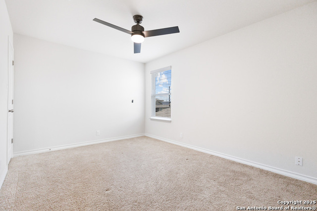 Image 25 of 53 For 13110 Needle Grass