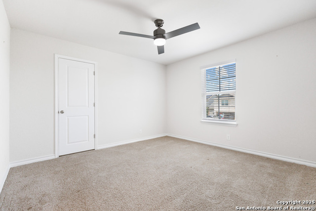 Image 27 of 53 For 13110 Needle Grass