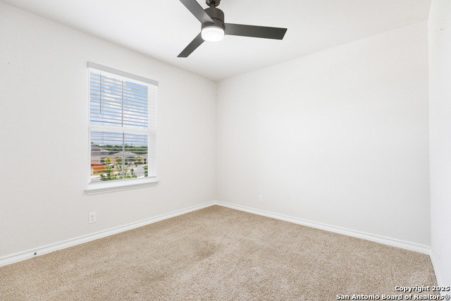 Image 28 of 53 For 13110 Needle Grass