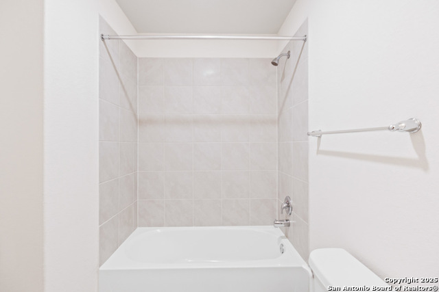 Image 30 of 53 For 13110 Needle Grass