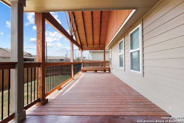 Image 33 of 53 For 13110 Needle Grass