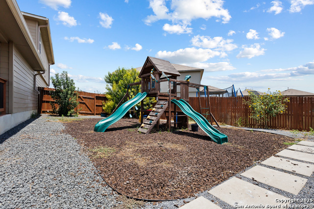 Image 35 of 53 For 13110 Needle Grass