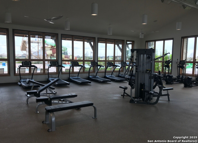 Image 43 of 53 For 13110 Needle Grass