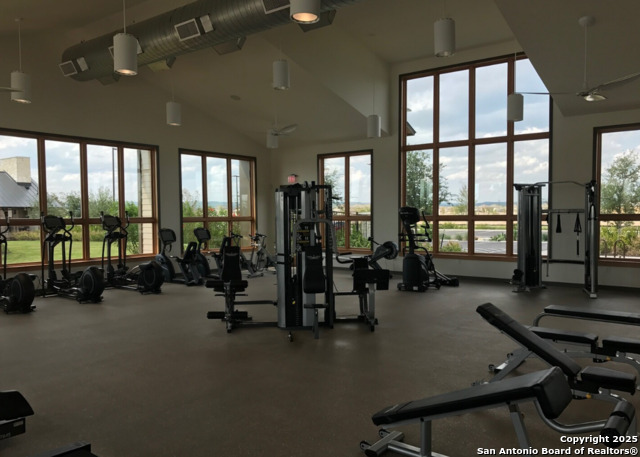 Image 44 of 53 For 13110 Needle Grass