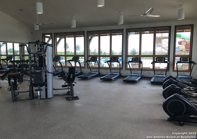 Image 45 of 53 For 13110 Needle Grass