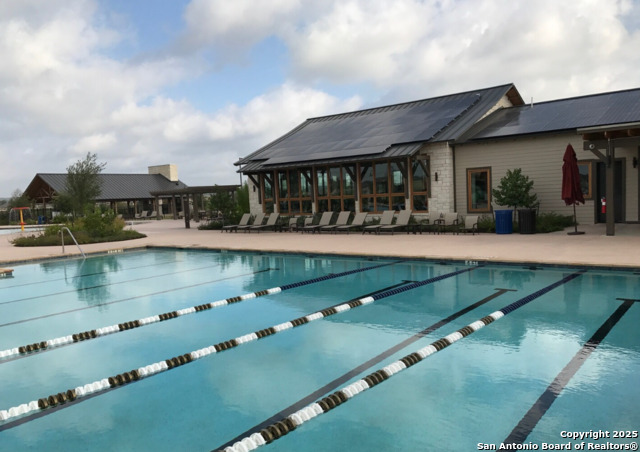 Image 46 of 53 For 13110 Needle Grass