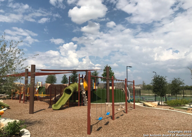 Image 49 of 53 For 13110 Needle Grass