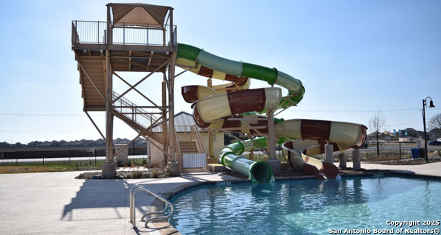 Image 50 of 53 For 13110 Needle Grass