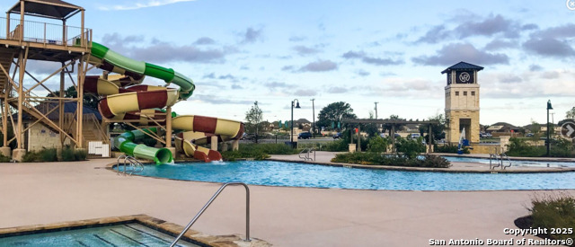 Image 51 of 53 For 13110 Needle Grass