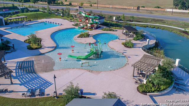 Image 52 of 53 For 13110 Needle Grass