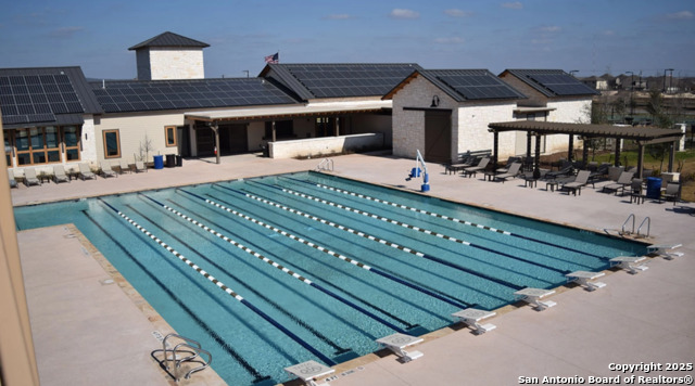 Image 53 of 53 For 13110 Needle Grass
