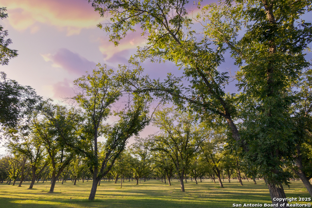 Image 38 of 40 For 370 Johnny Seibert