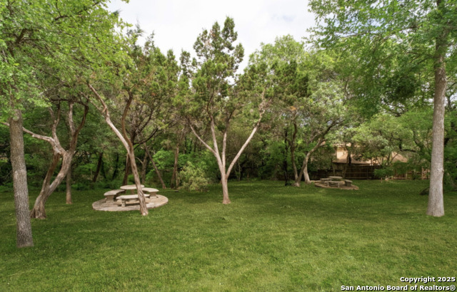 Image 27 of 27 For 6642 Morning Shadow