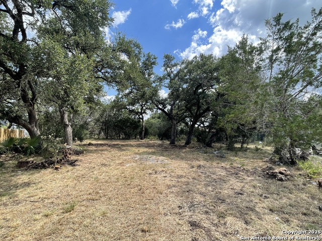Details for 161 Sunnyside, Spring Branch, TX 78070